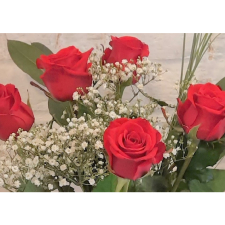 Bouquet de 7 Roses Rouge